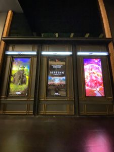 Synopsis of Wicked Film, the Latest Musical Drama Starring Ariana Grande