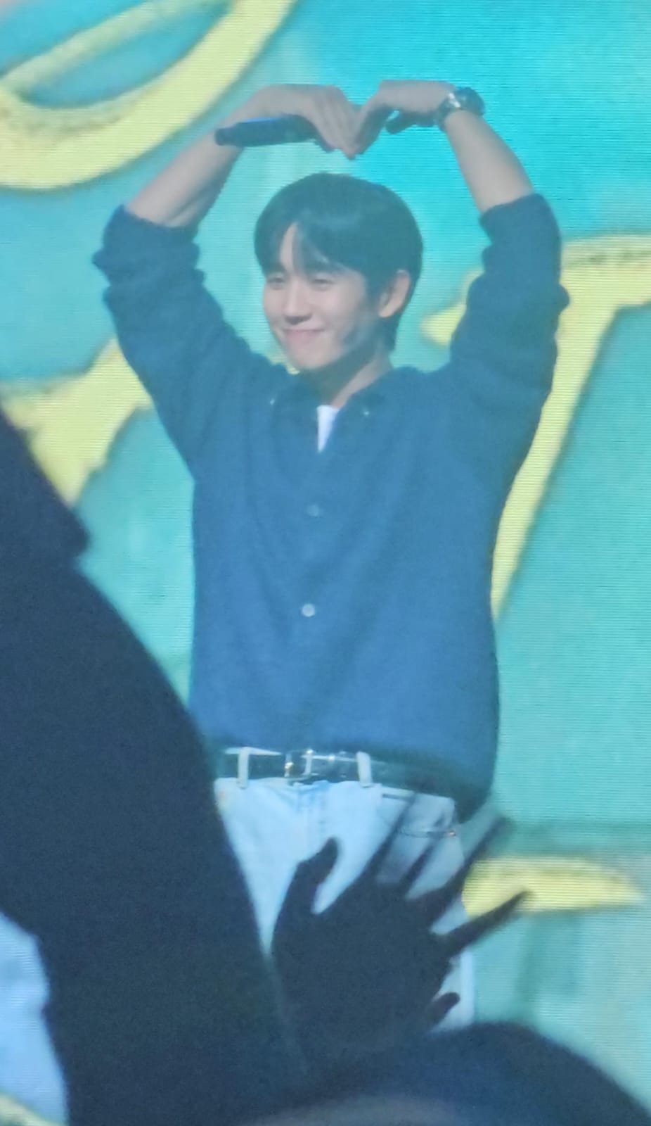 Jung Hae In’s Fan Meeting in Jakarta: Flirting with Fans and Proposing!
