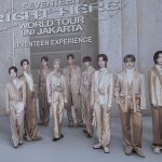 SEVENTEEN EXPERIENCE, CARATs HAVING FUN TMII